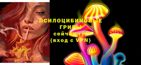 дживик Абинск