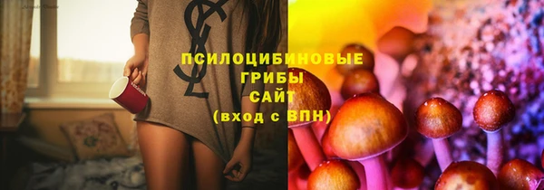 дживик Абаза